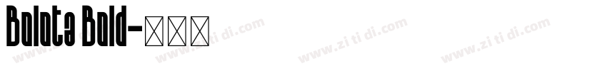 Bolota Bold字体转换